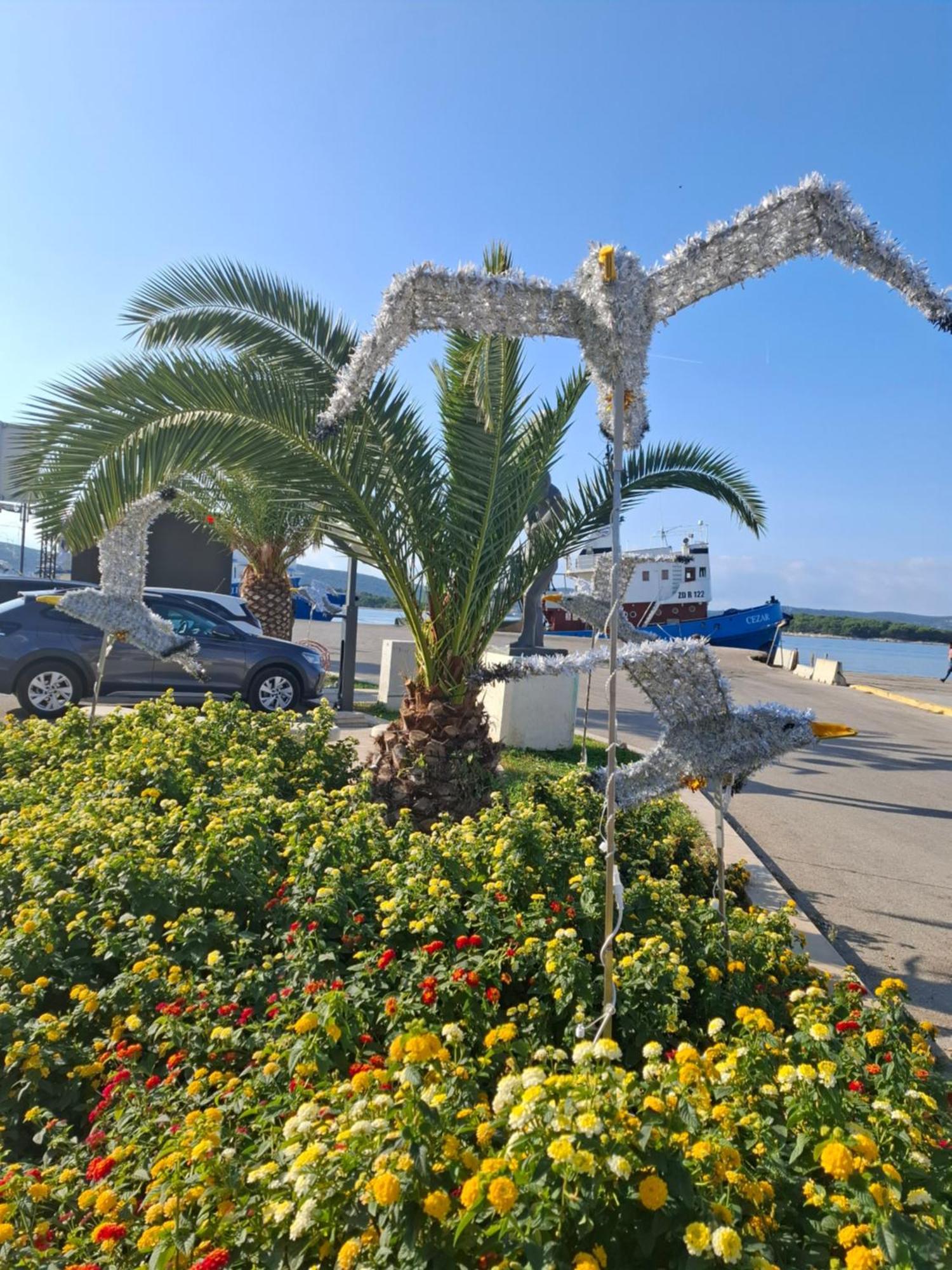 Apartmani Orhideja Gornji Karin Exterior foto